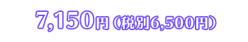 6,500円(税別)