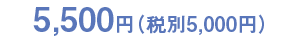 5,000円(税別)